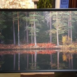 Höstmotiv vid tivedens nationalpark Jan-Peter Lahall