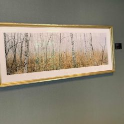 Jan Lindahl Björkskog vid Yxhult fotokonsttavla